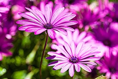 《脑航员》开发商Double Fine回应新作传闻：正在开发中