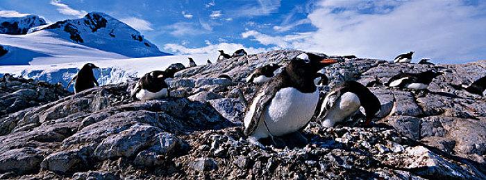 像素射击游戏《亡灵女仆》保卫秋叶原纯洁女仆